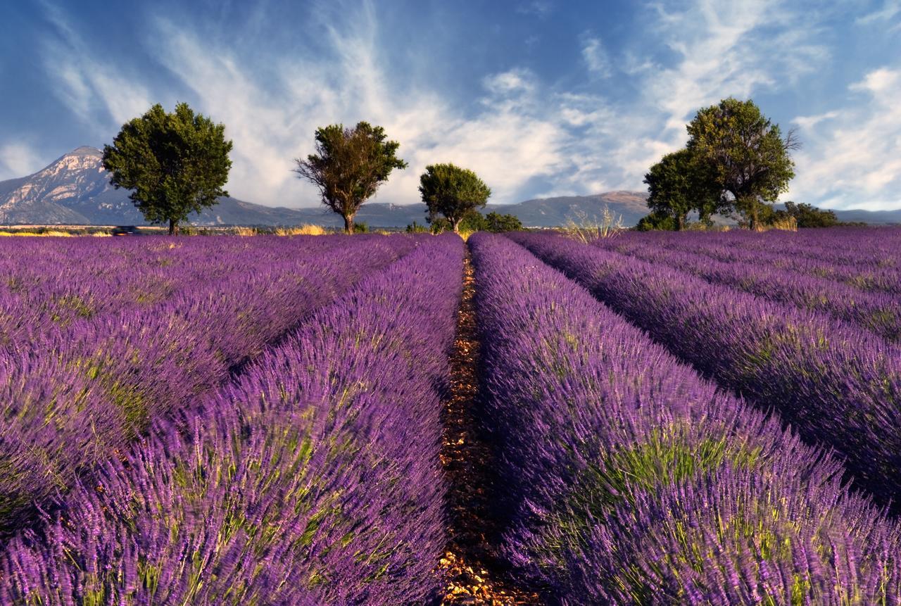 Portail Du Ventoux Central Luxe Jardin Linge Fourni Малокен Экстерьер фото